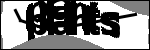 متن برای شناسایی